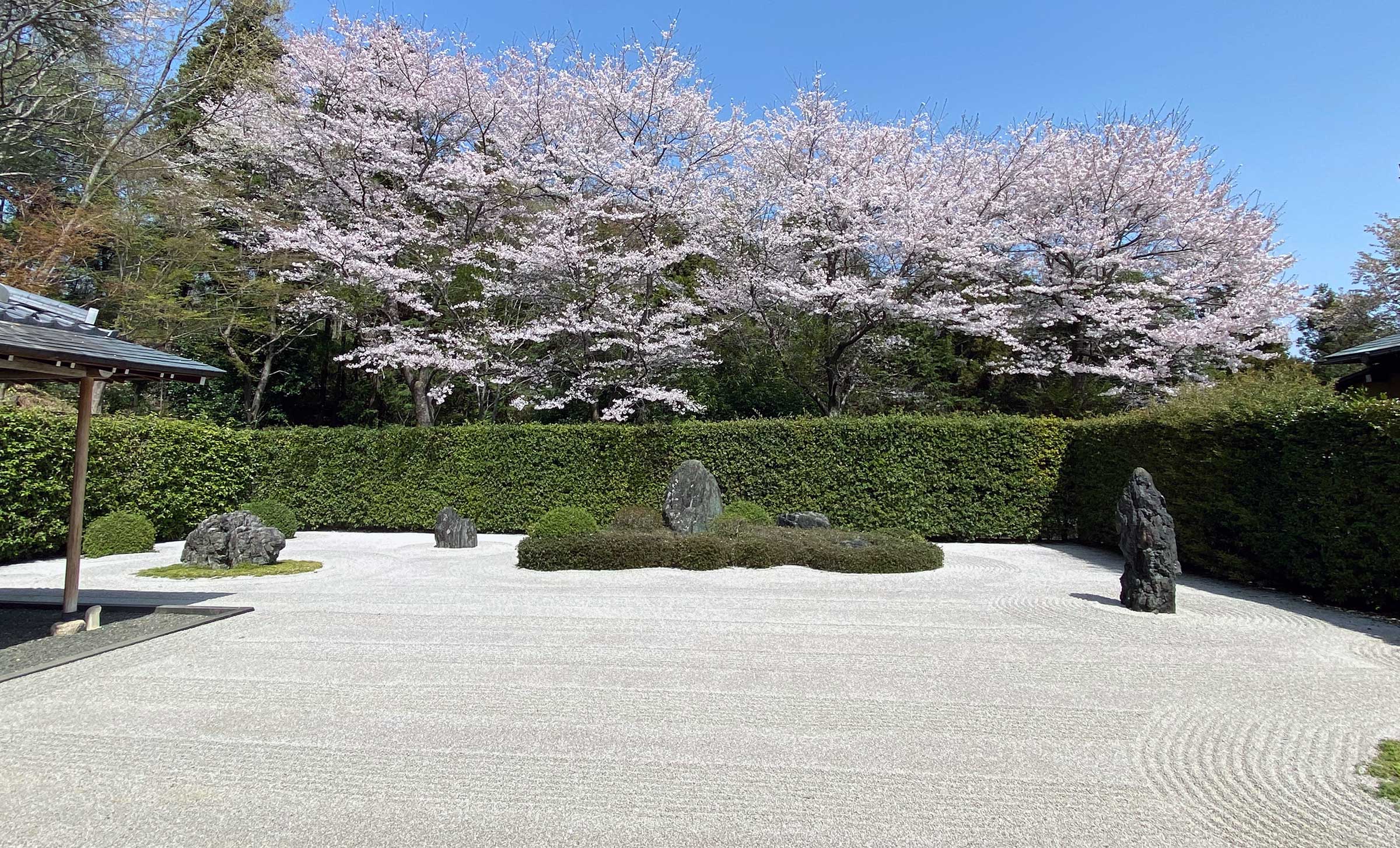 庭園（枯山水）